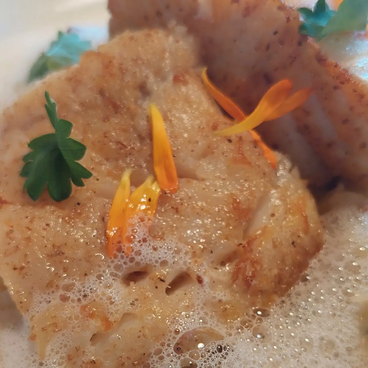 Kabeljaufilet