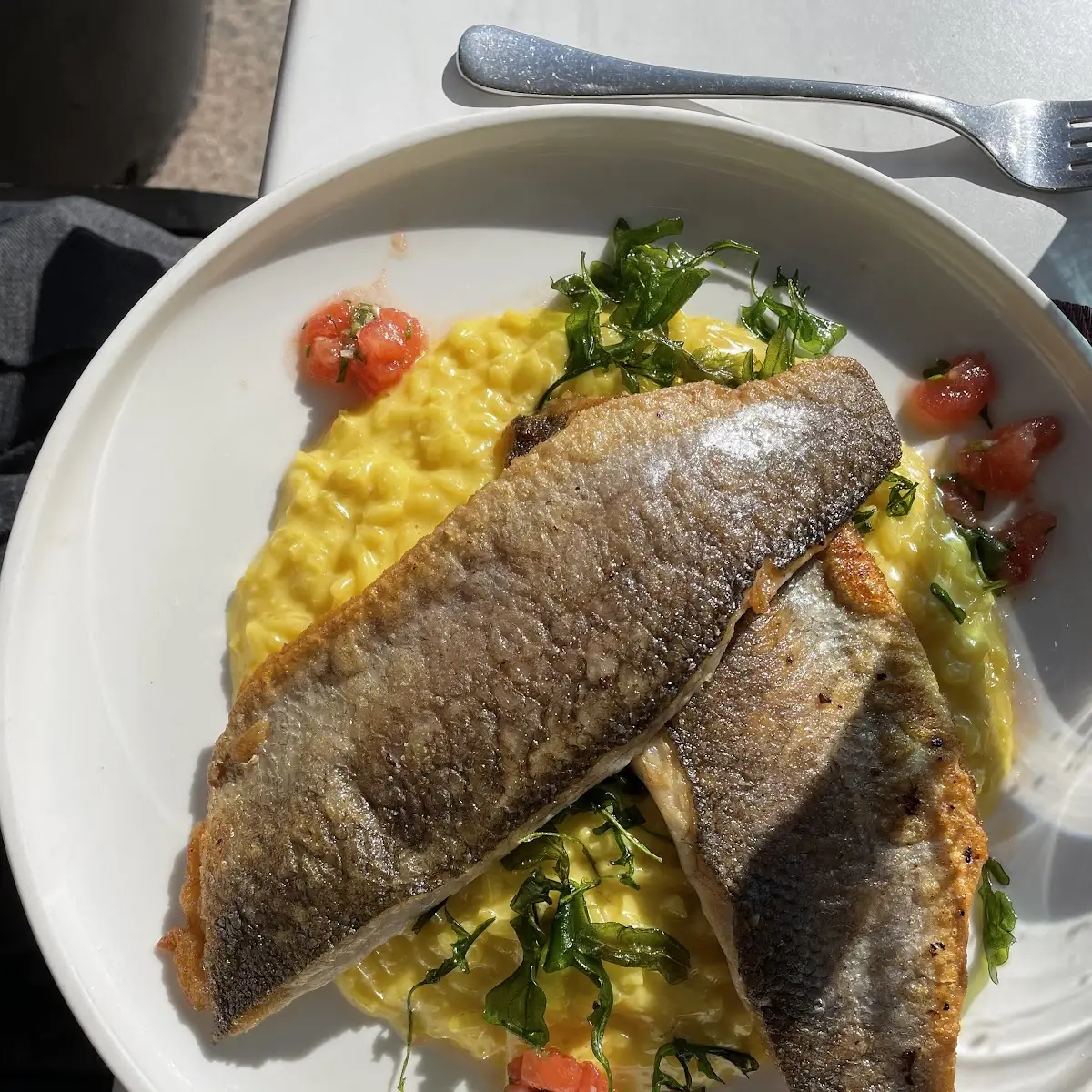 Branzino Filet