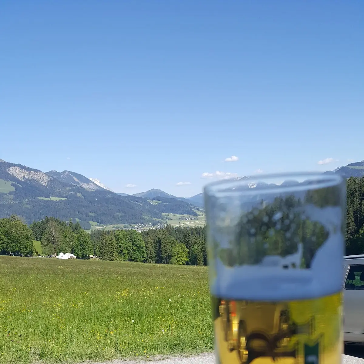 Bier