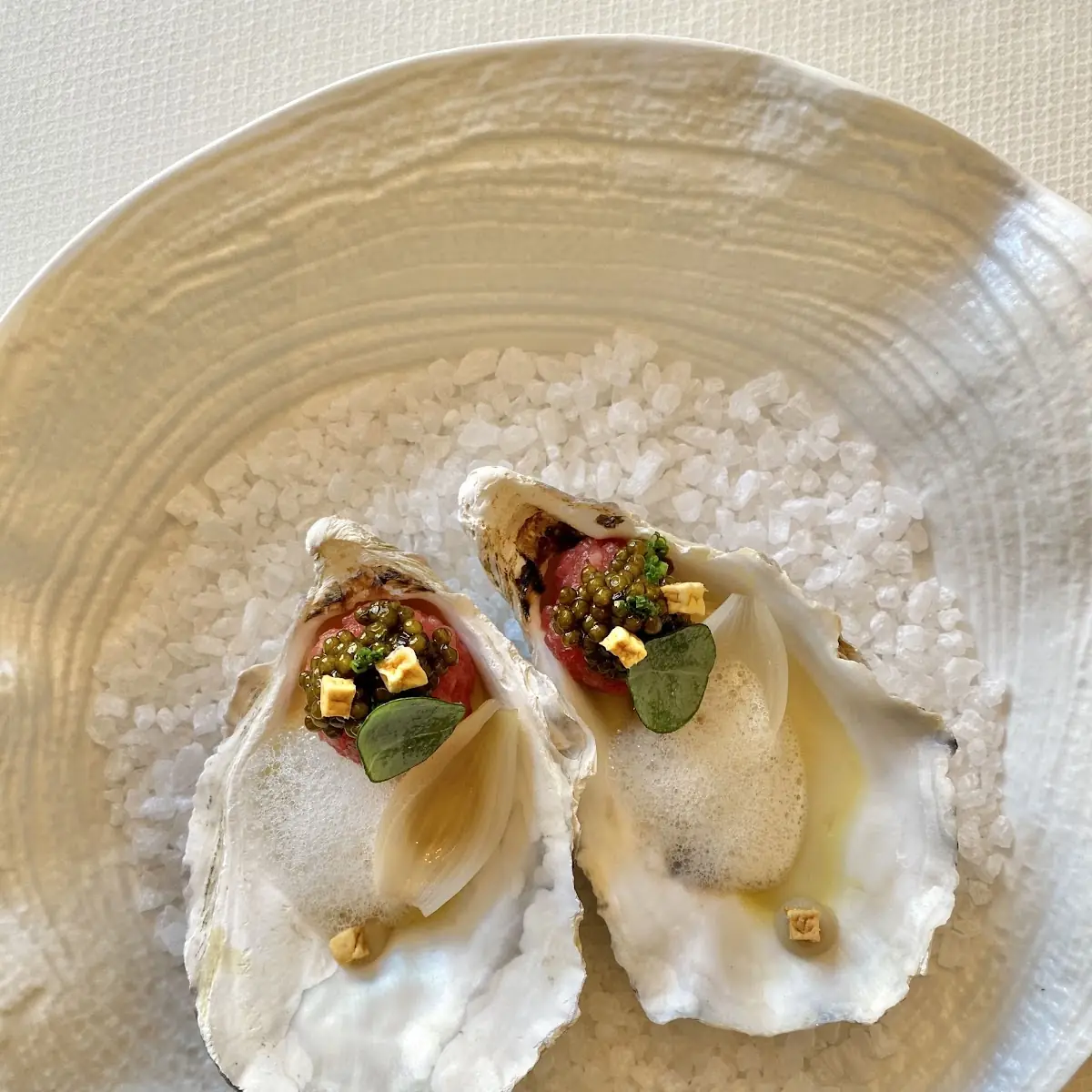 Scallop