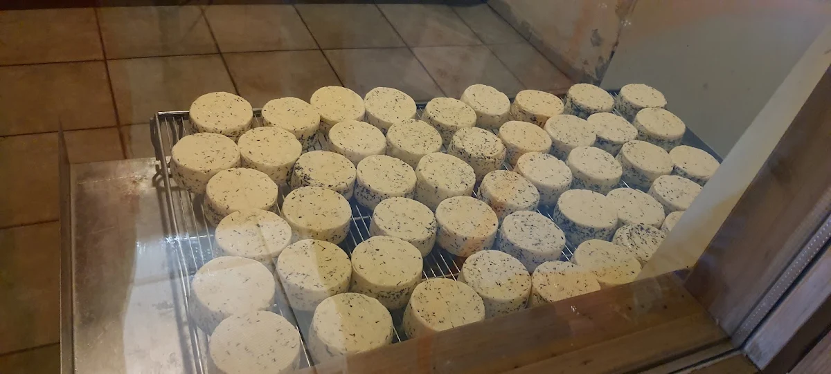 Käse