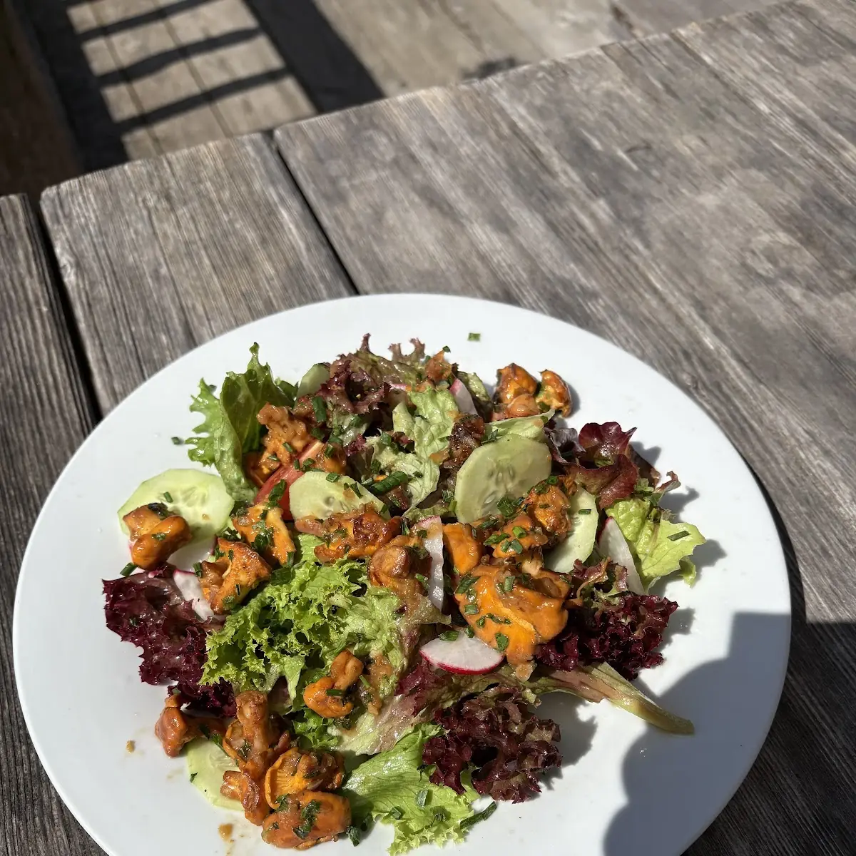 Met Salat