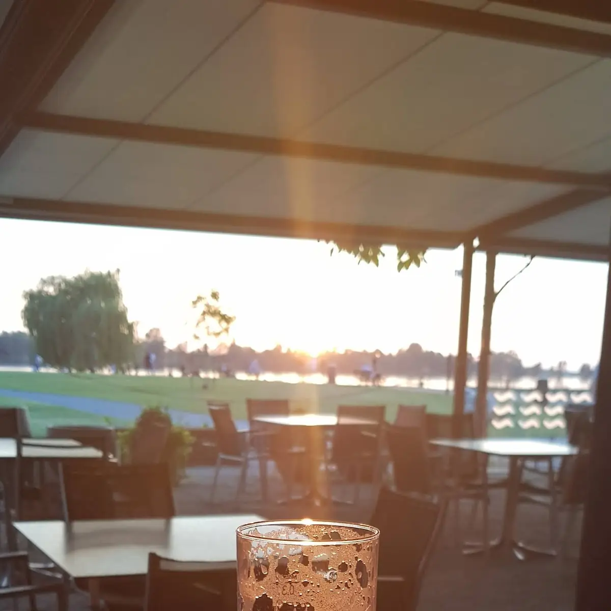 Bier