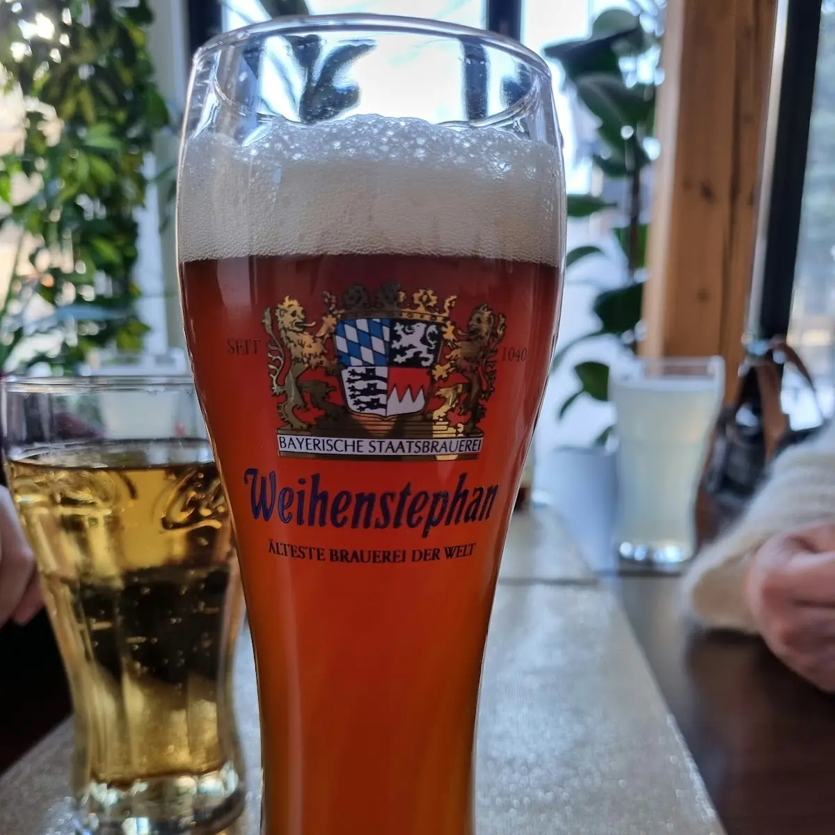 Eihenstephane Heferweissbier Dunkel W