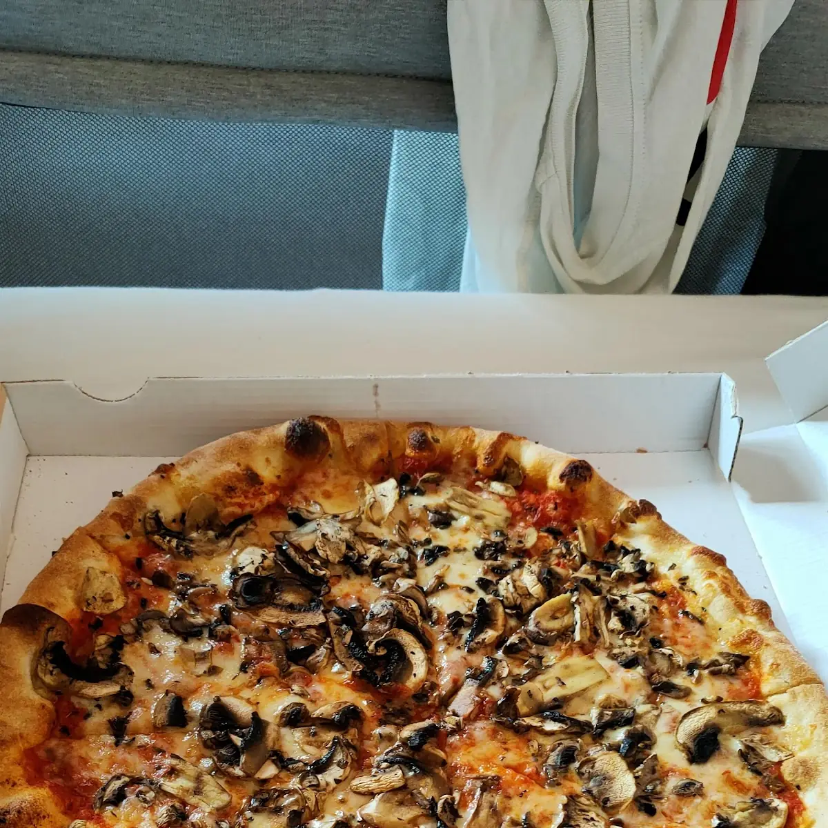 Pizza Funghi