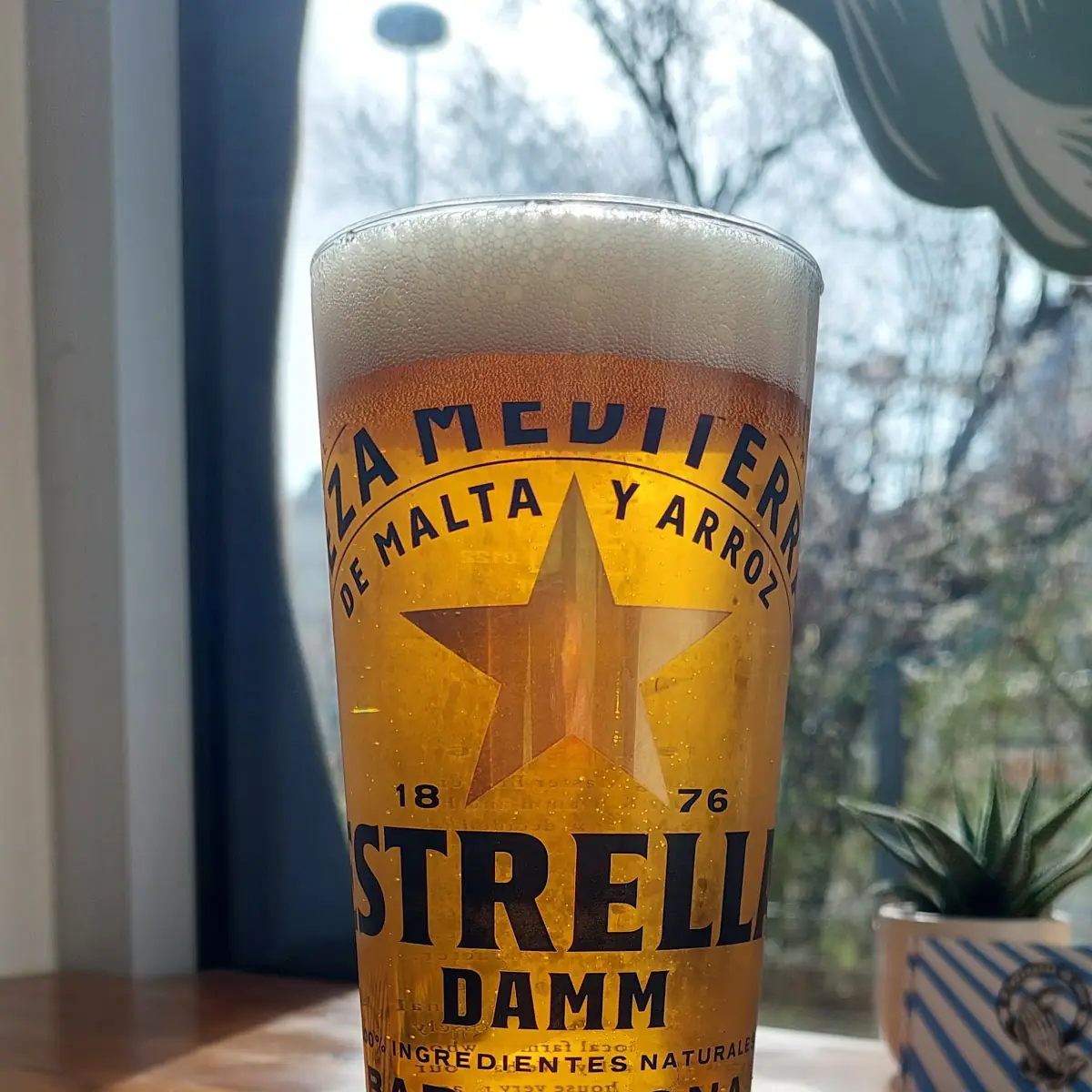 Bier