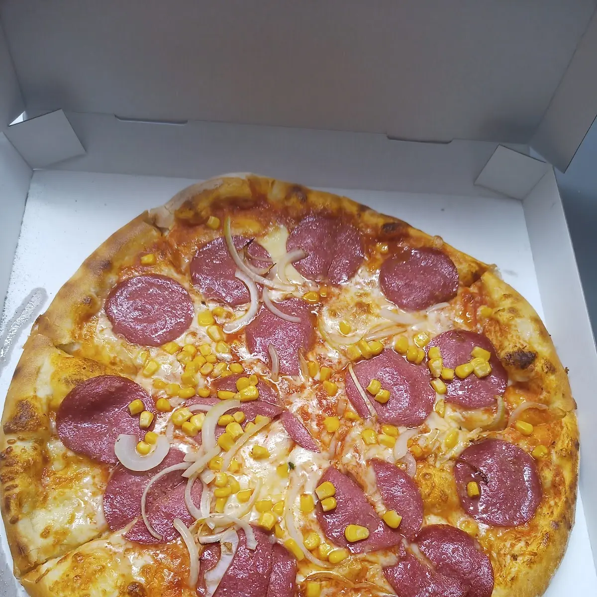 Pizza Funghi