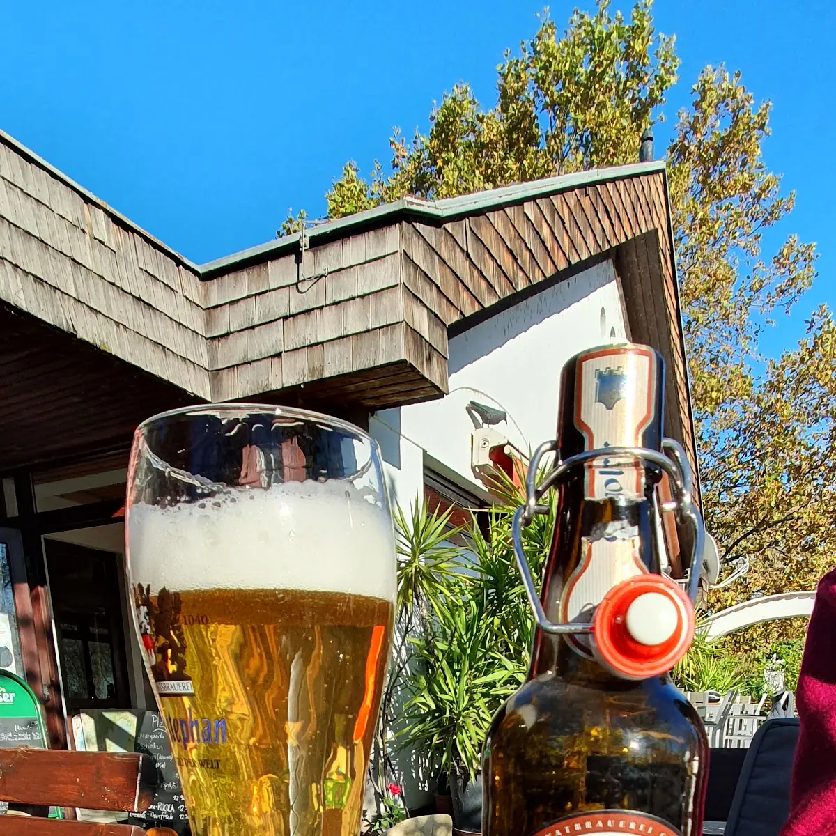 Bier