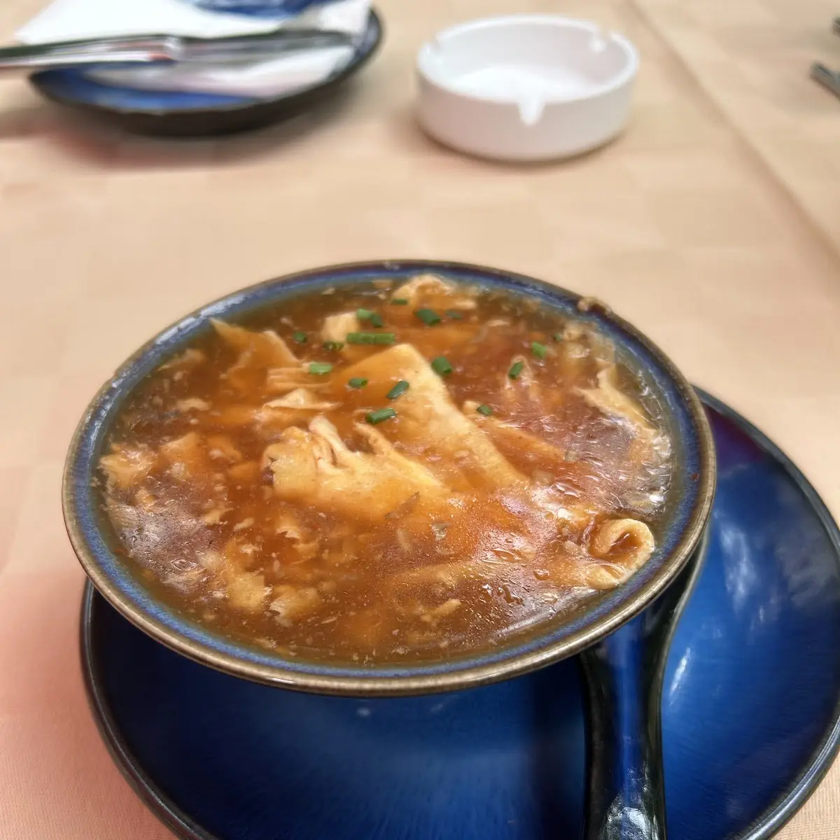 Pikant Säuerliche Suppe
