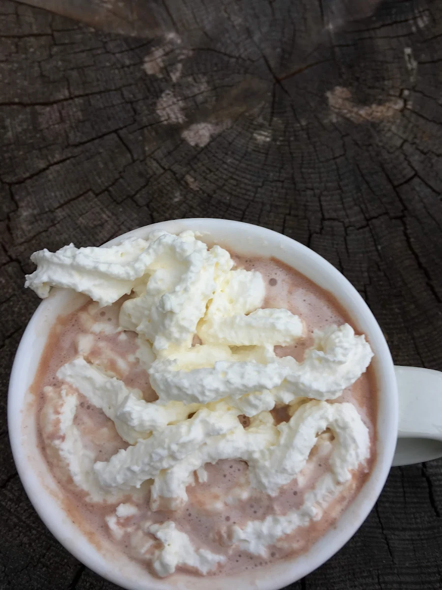 Käse Fondue