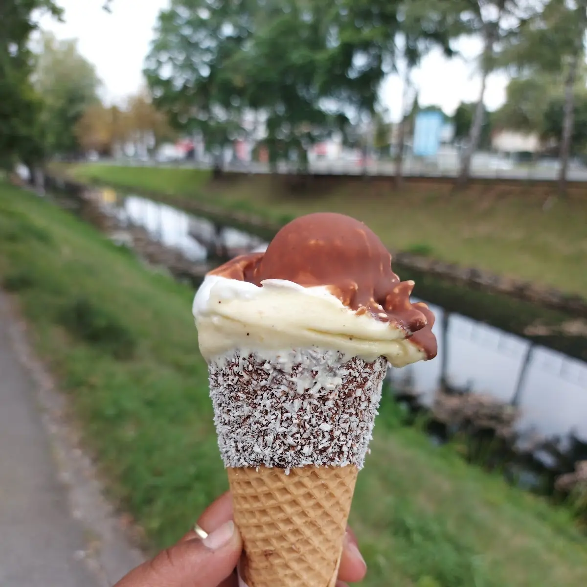 Zitrone Mit Morle