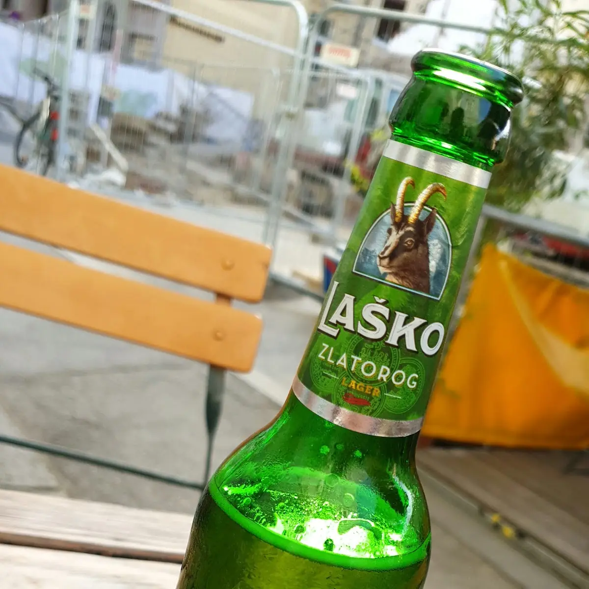 Bier