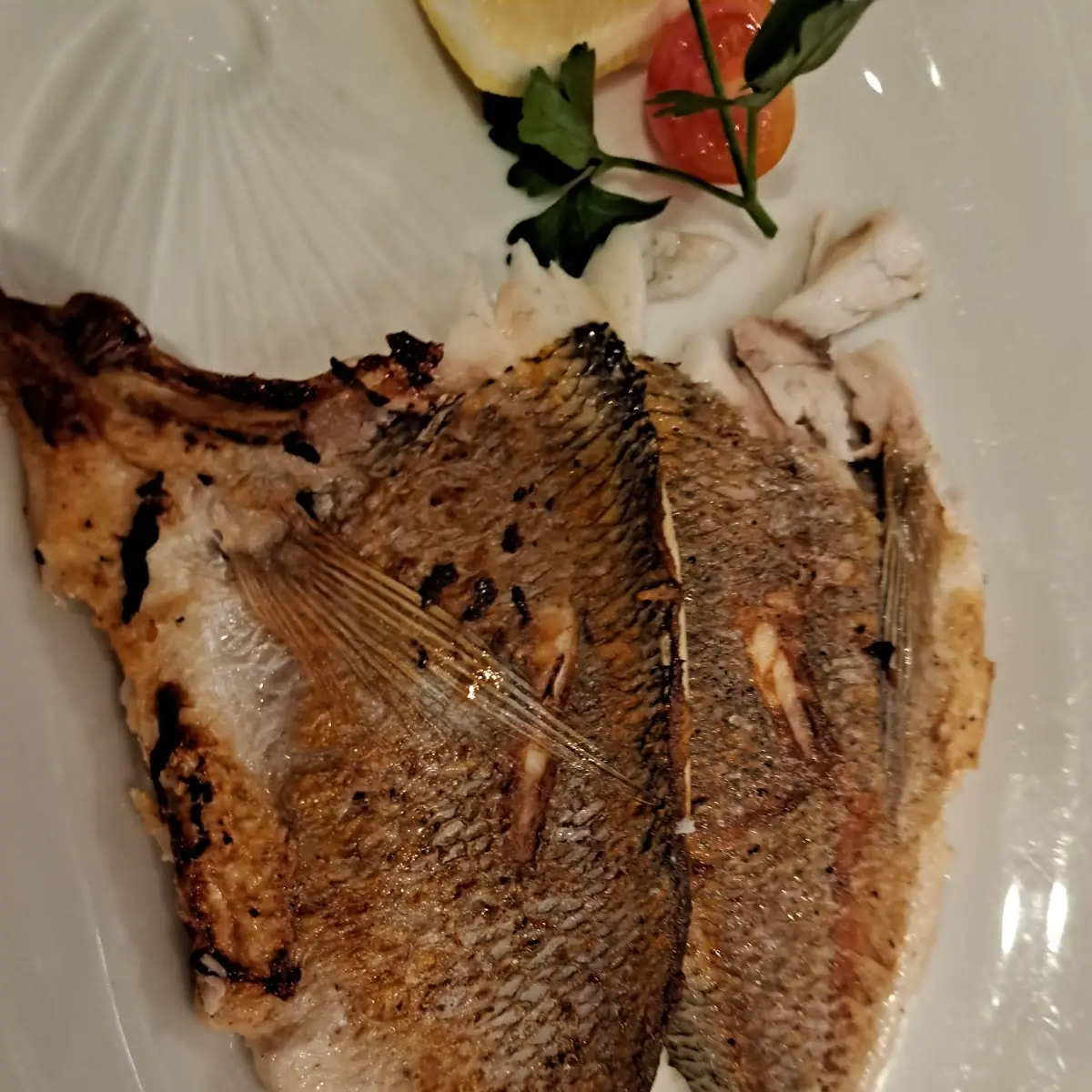 Dorade