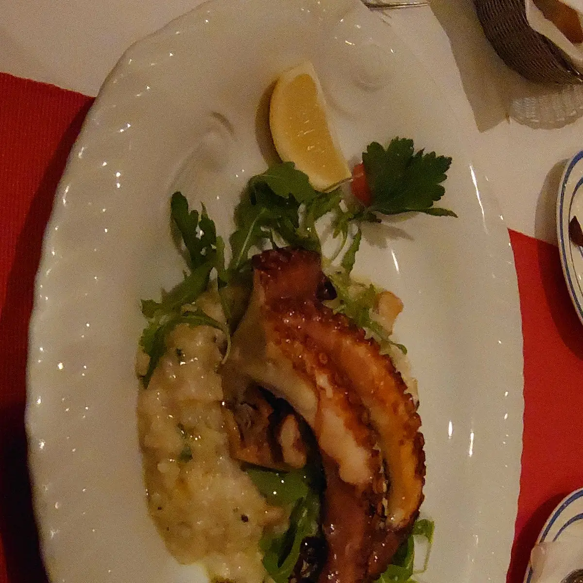 Octopus in Risotto