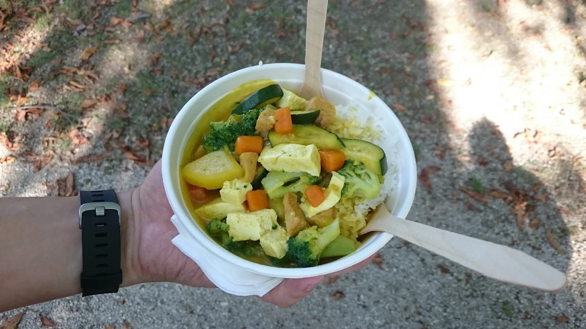 Vegan Curry with Tofu and Soya Bites