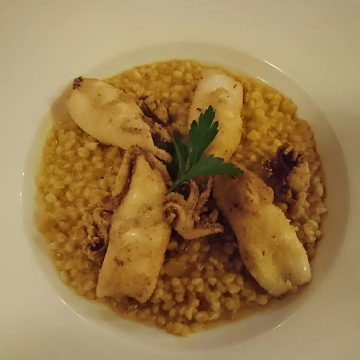 Calamari Auf Gersten Rissotto