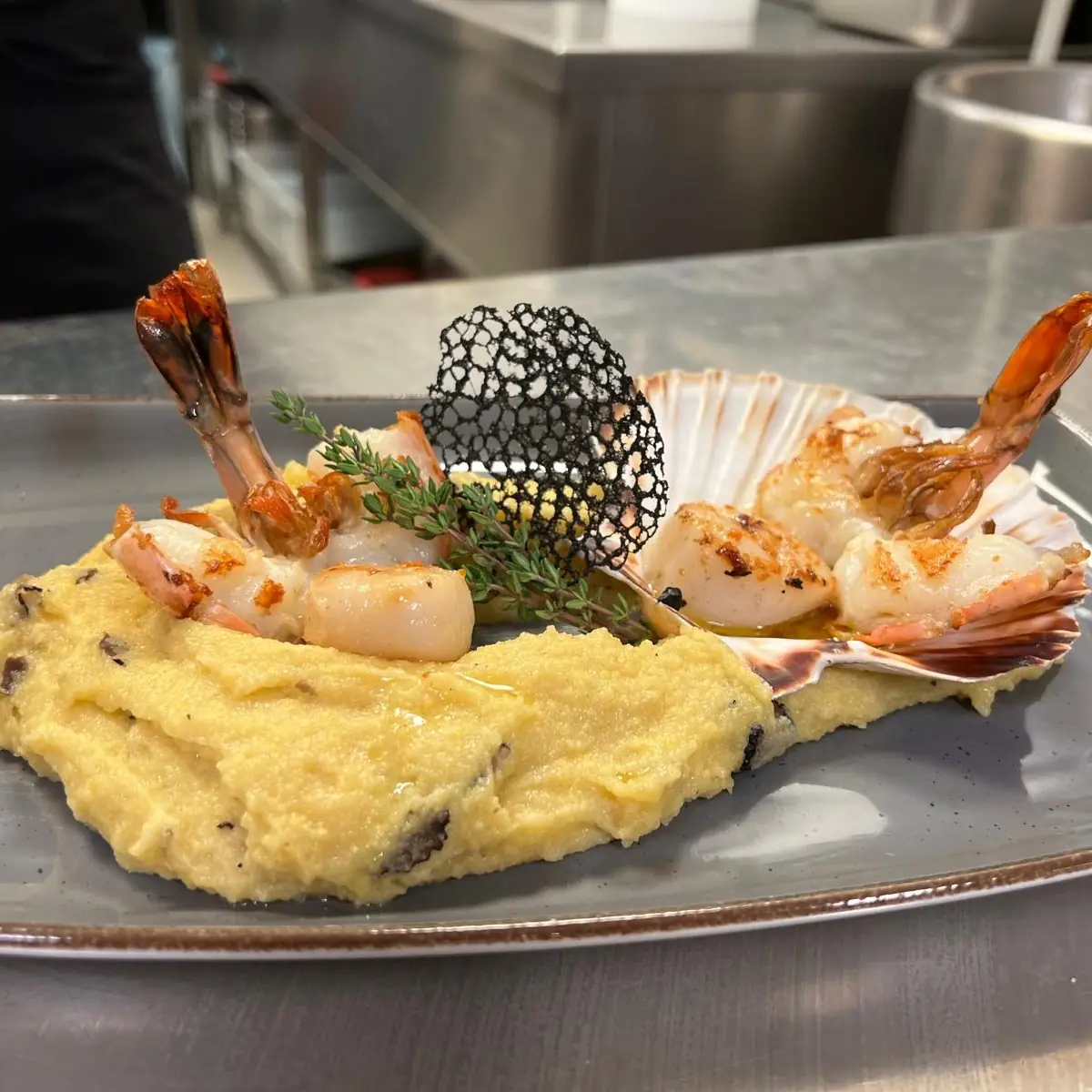 Duett Von Jakobsmuscheln Und Garnelen An Trüffelpolenta