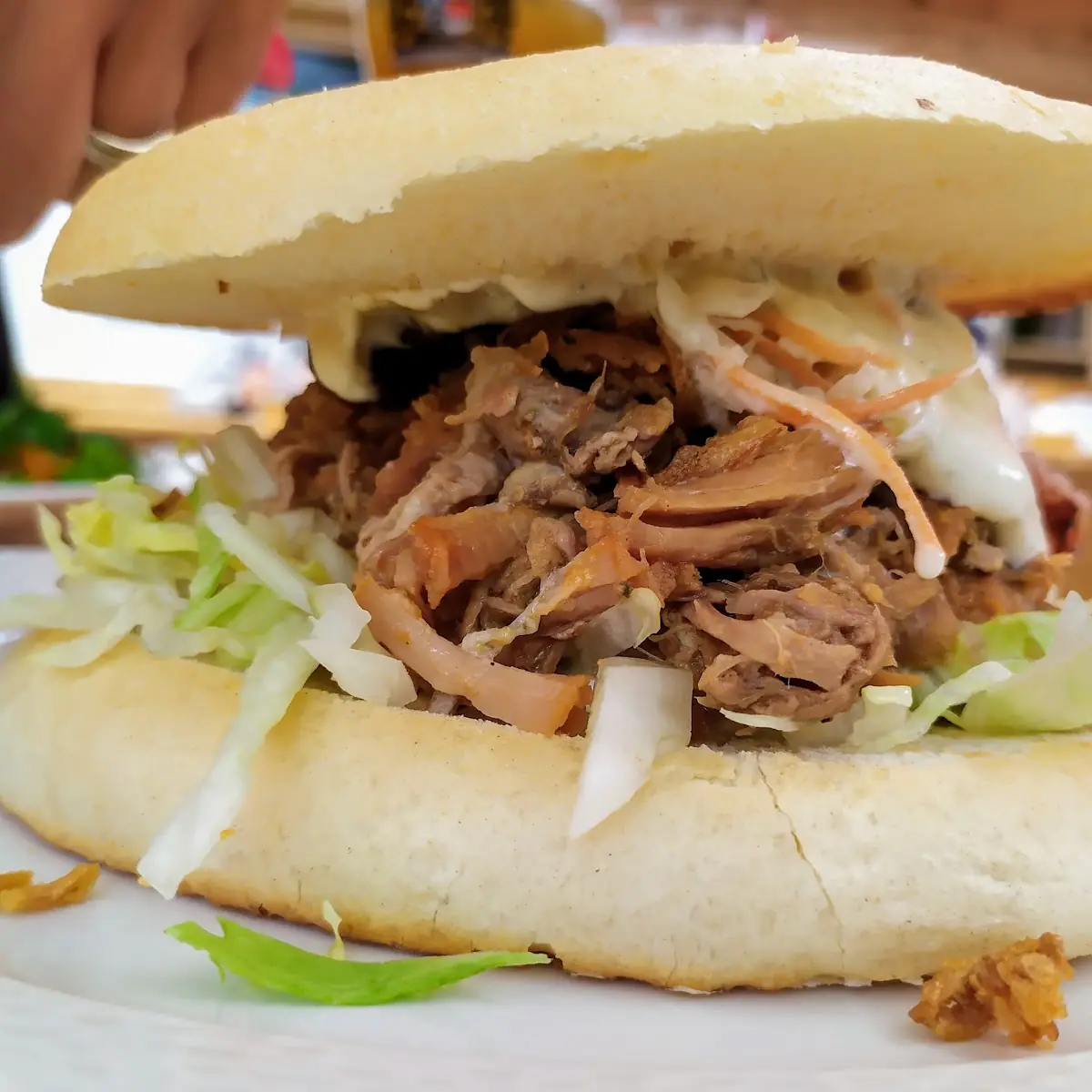 Pulled Pork Burger