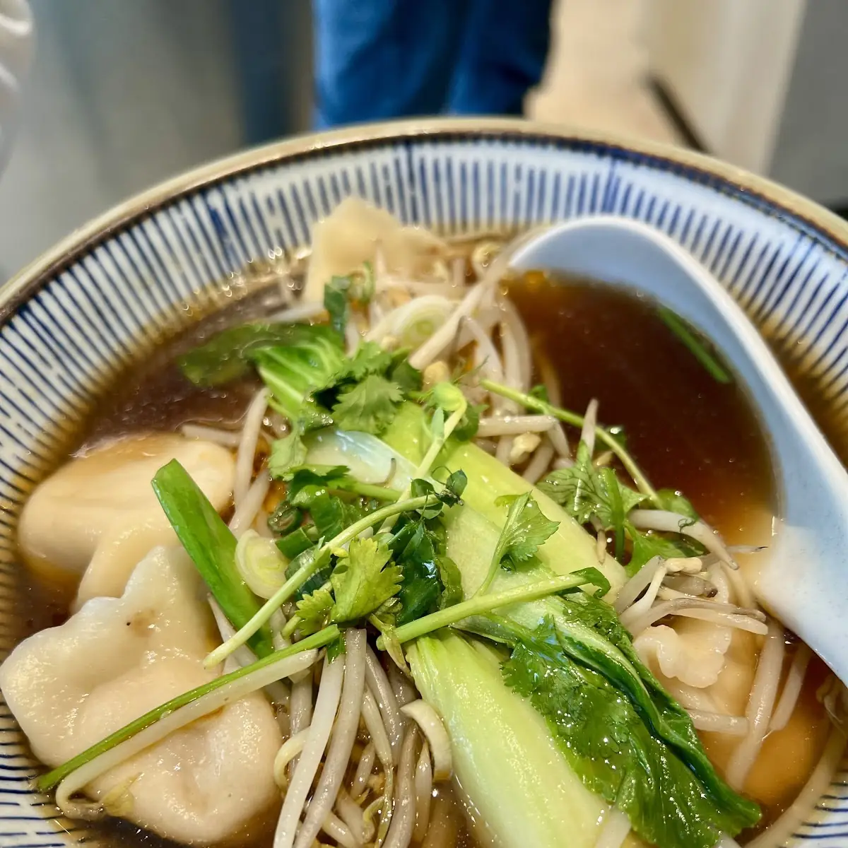 Beef Dumplings with Vegetable Soup