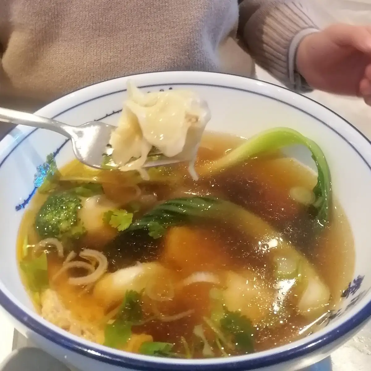 Dumpling Vegetable Soup