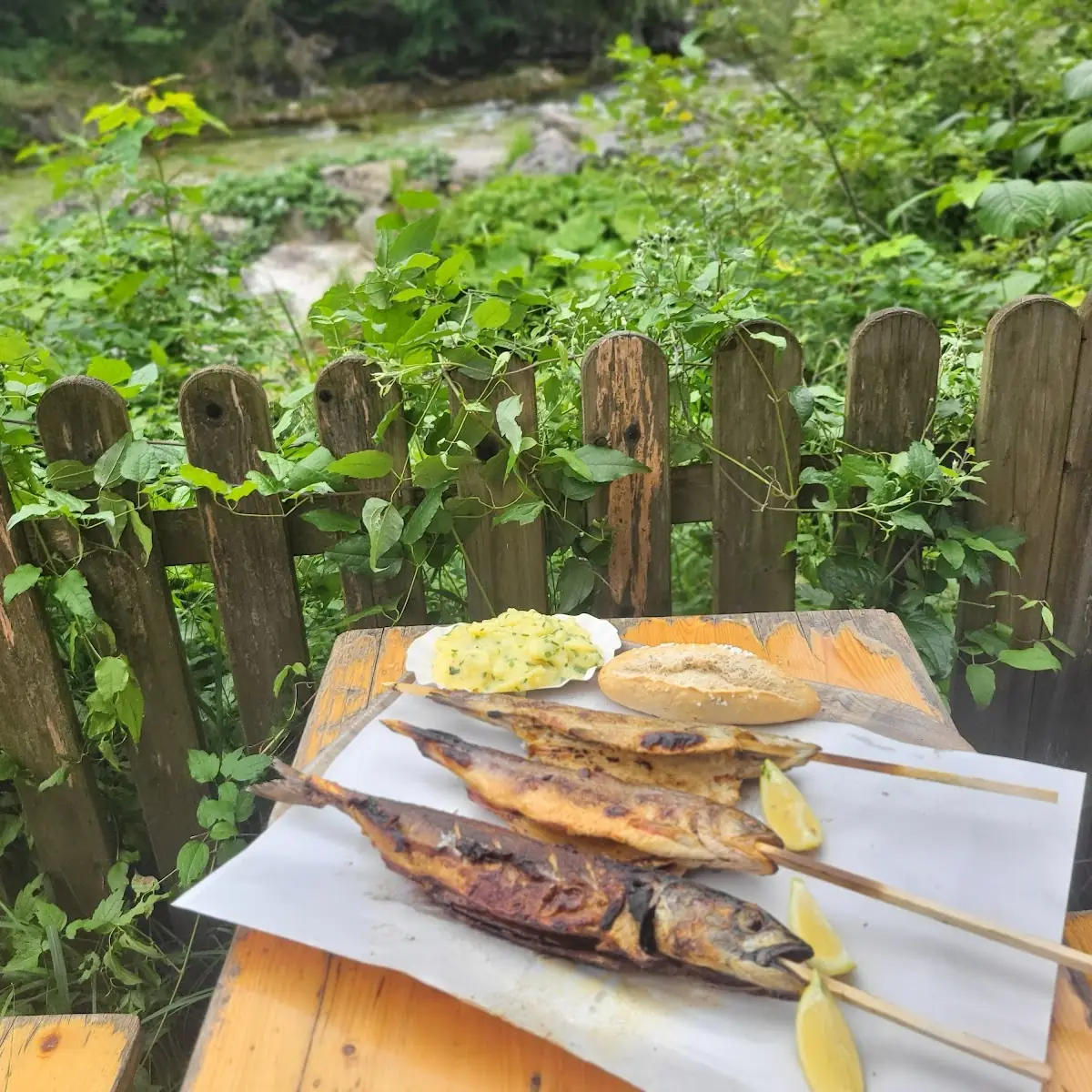 Forelle Vom Grill