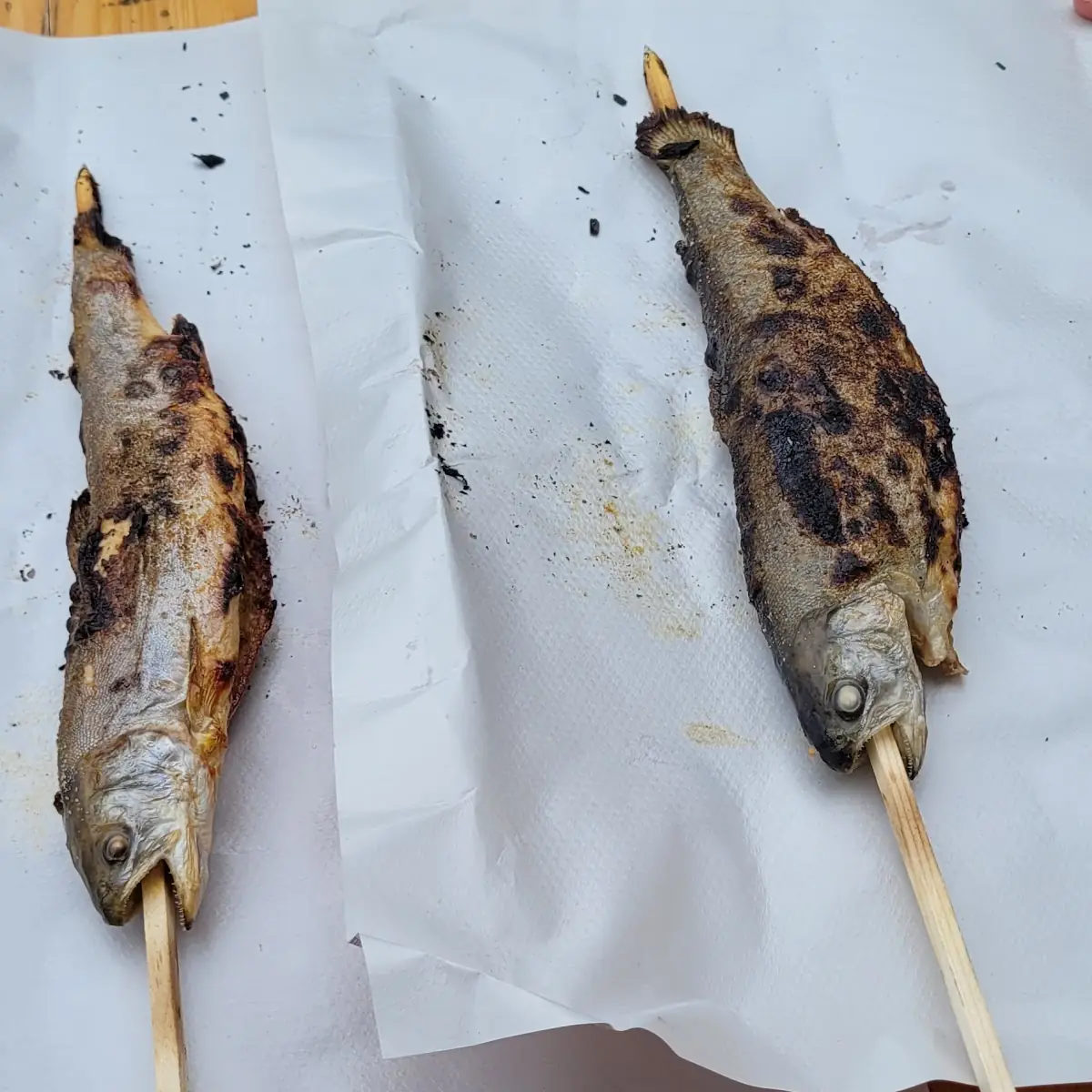 Steckerlfisch Saibling