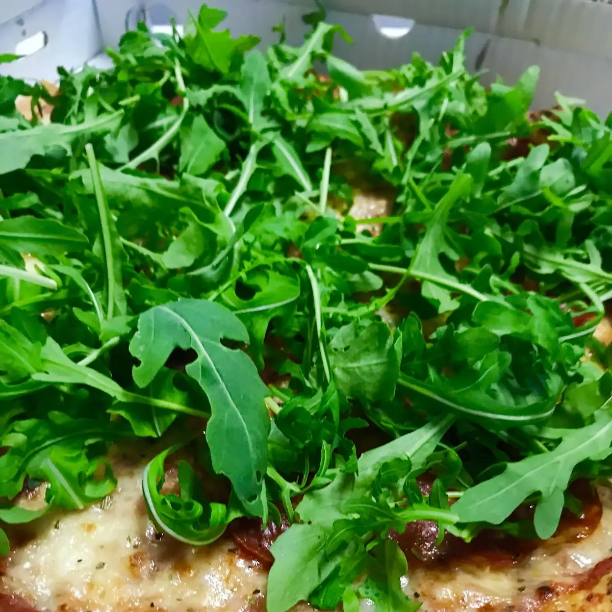 Pizza Salami