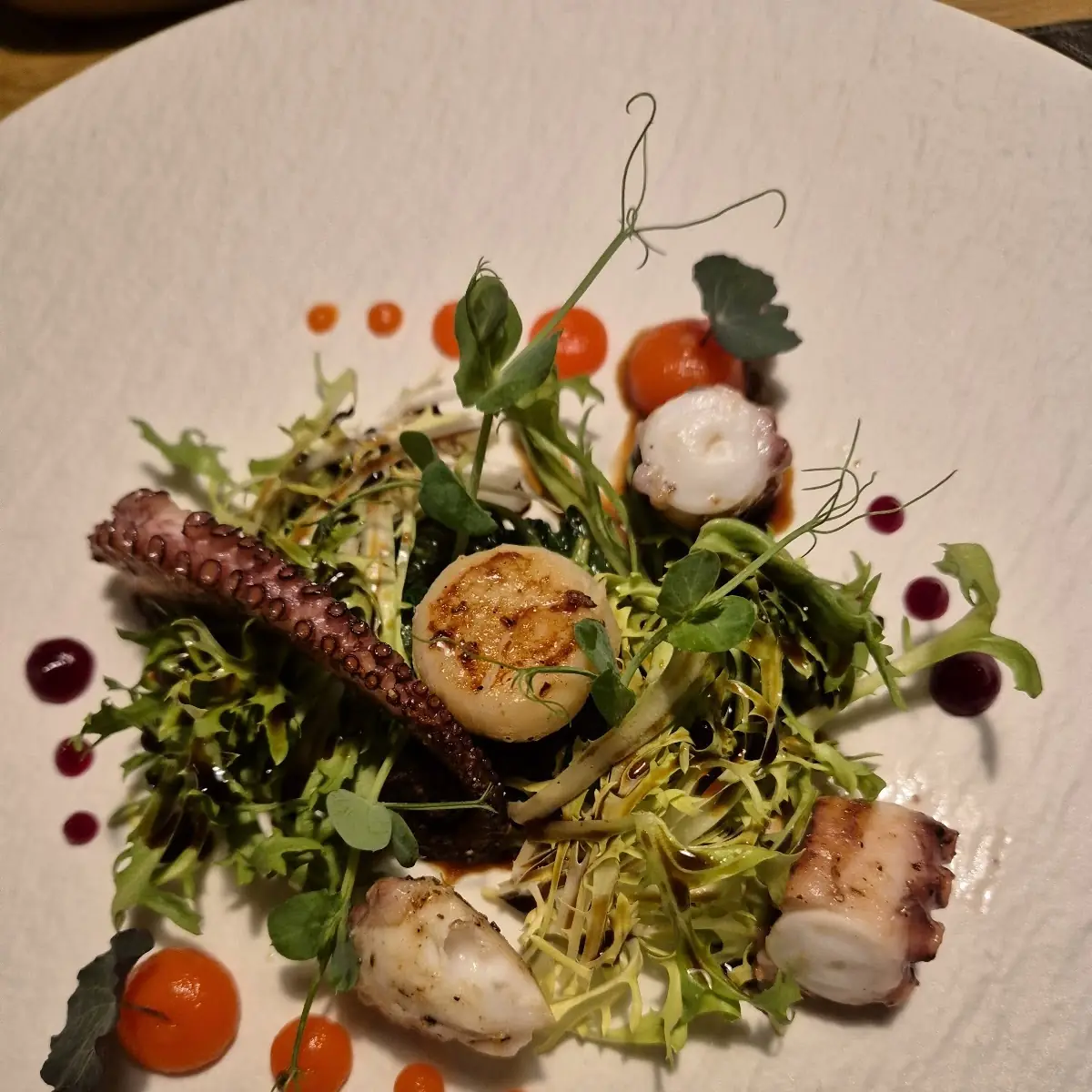 Oktopus Salat