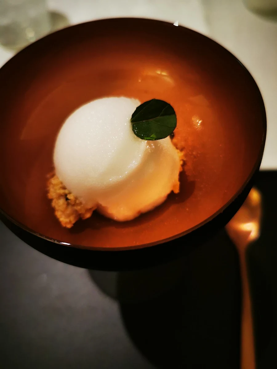 Tonic Sorbet