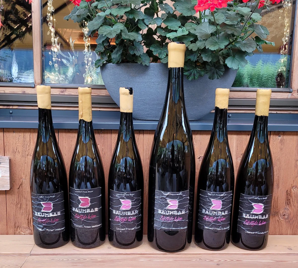 Wein