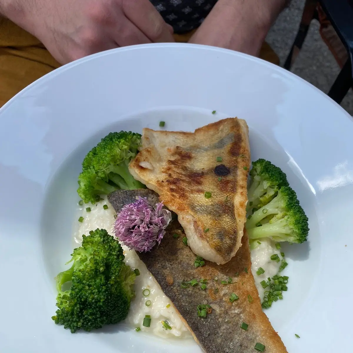 Forelle Müllerin Mit Petersilerdäpfi Zirtonen-kräuterbutter Und Beilagen Salat
