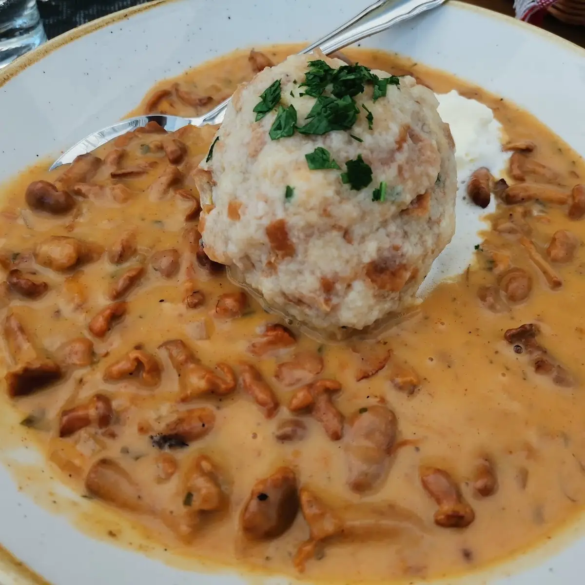 Eierschwammerl Gulasch Mit Semmelknödel