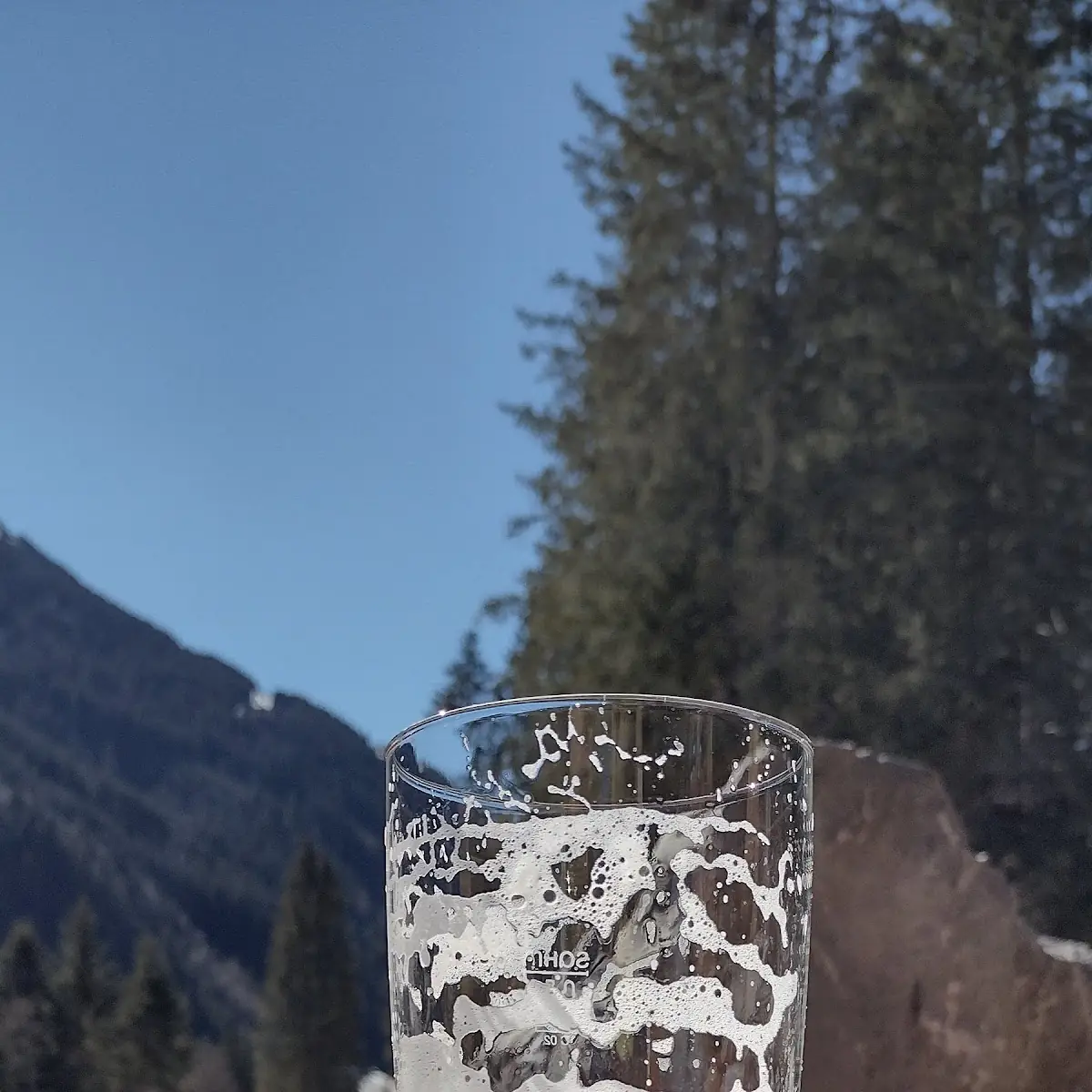 Bier