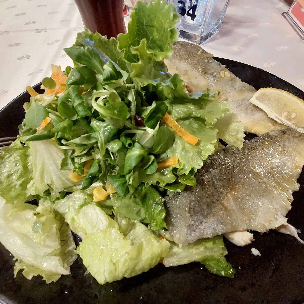 Forelle Trifft Salat
