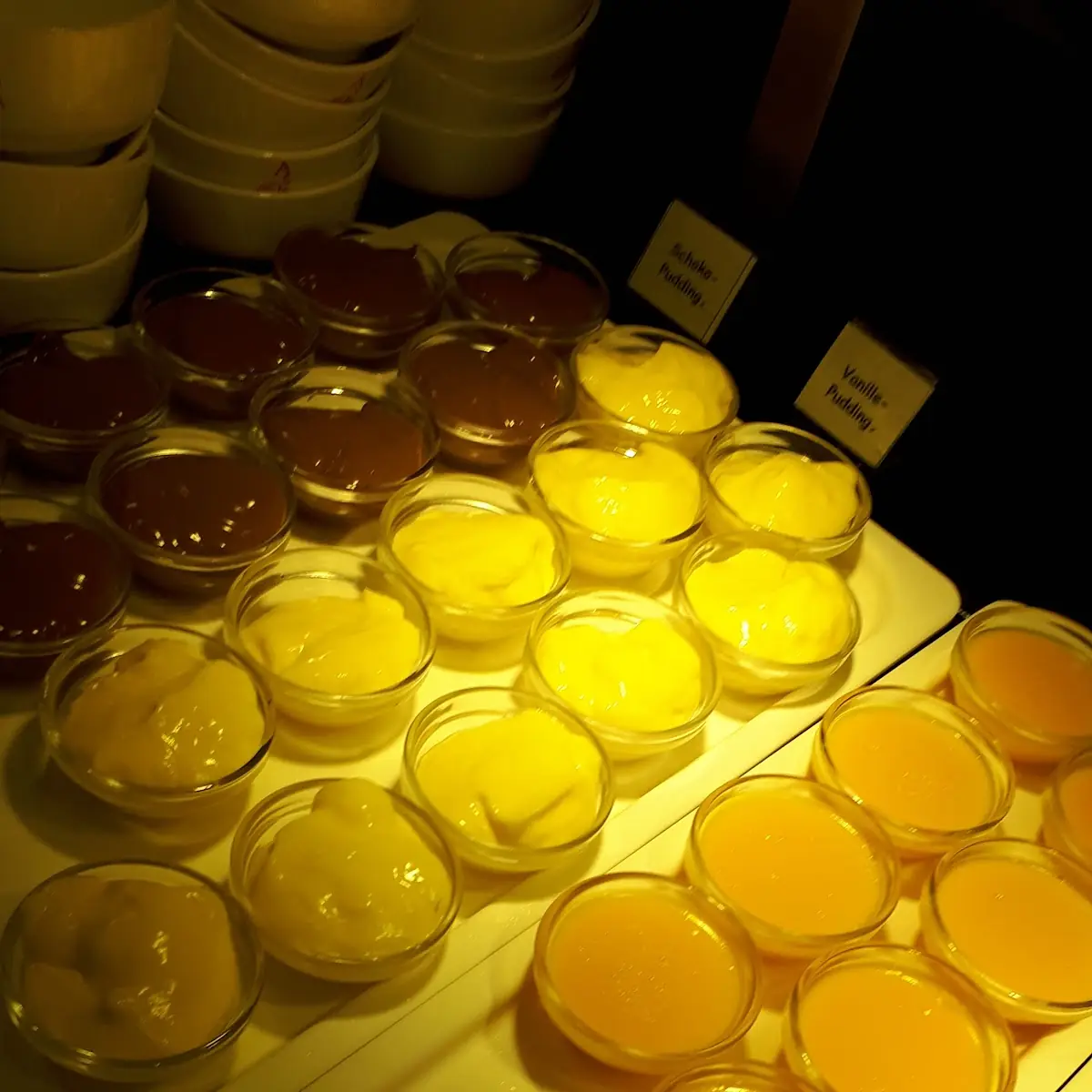 Vanillepudding Und Mangopudding