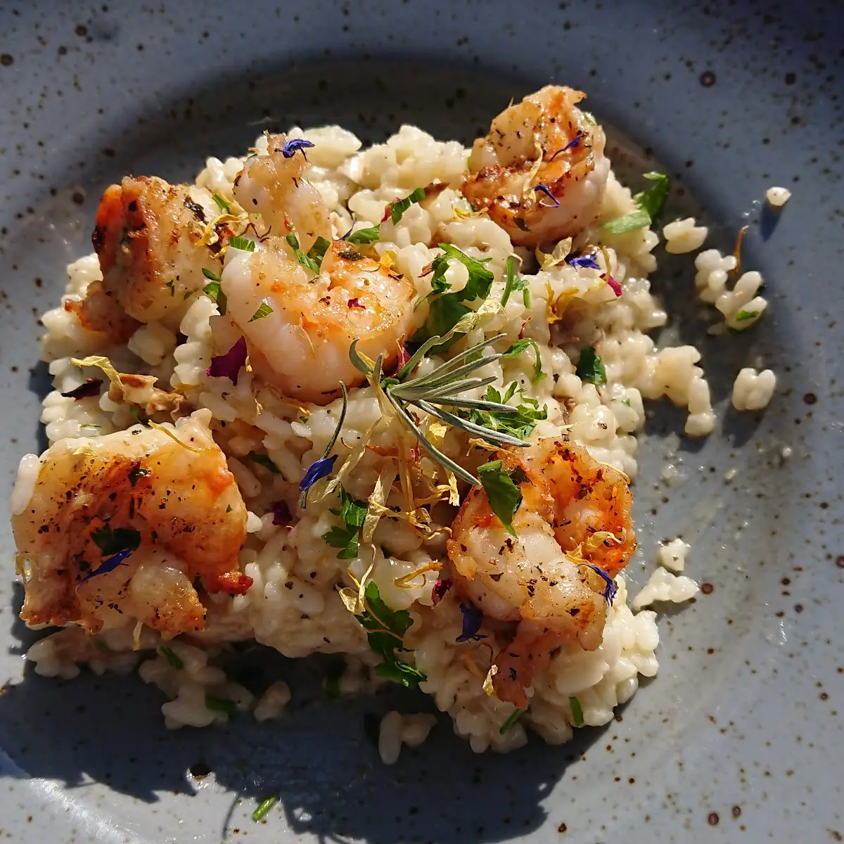 Steinpilzrisotto Mit Garnelen
