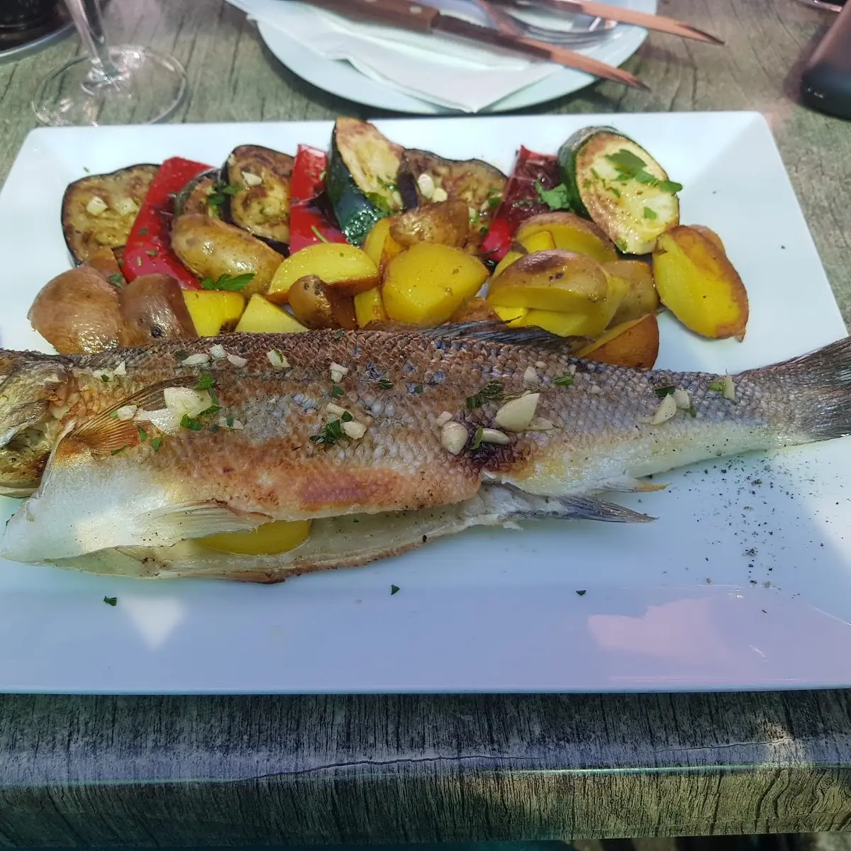 Fish