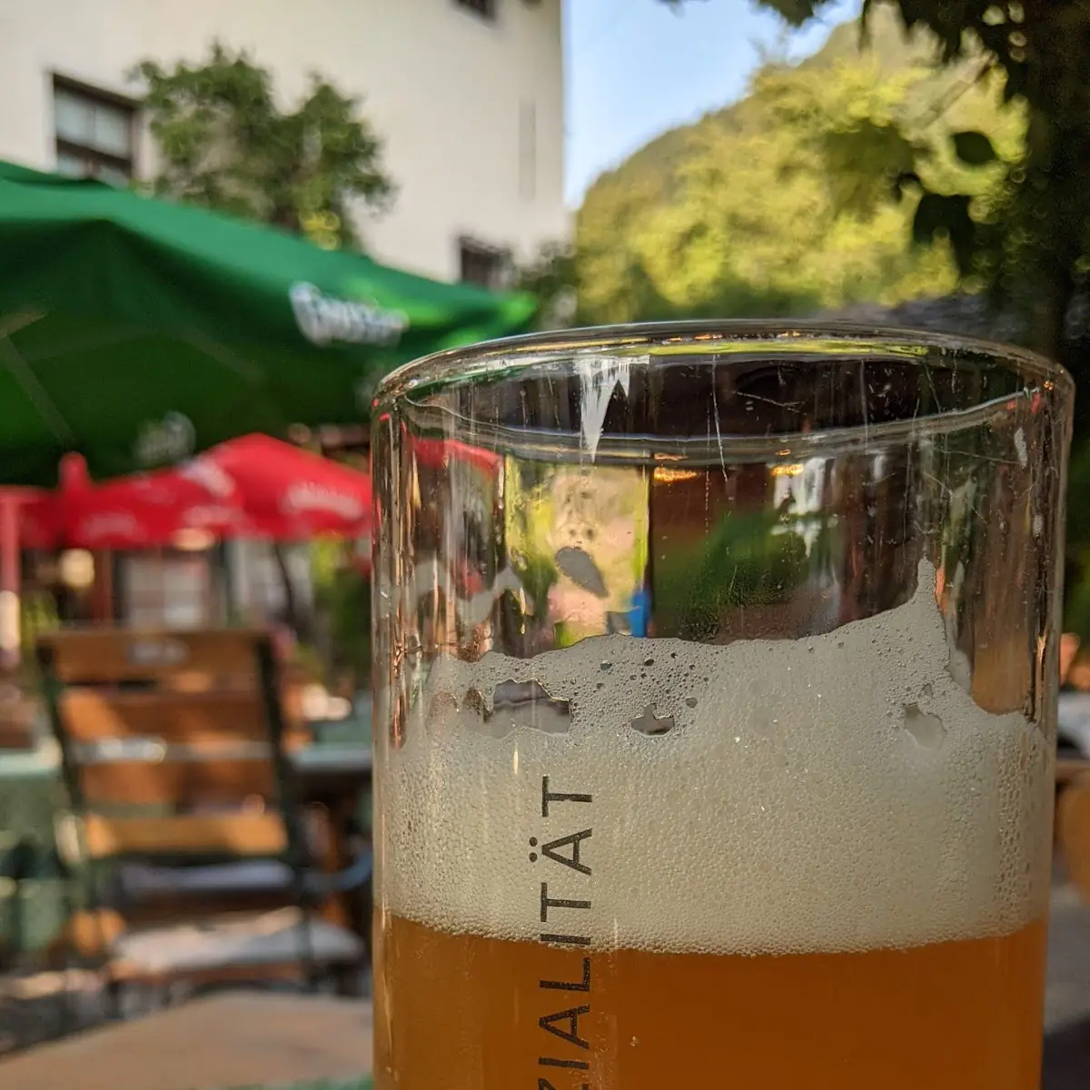 Bier