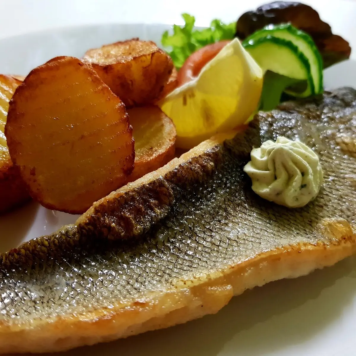 Gegrilltes Zanderfilet