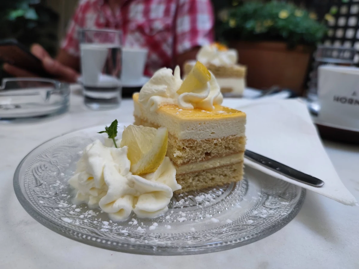 Limonen Schnitte