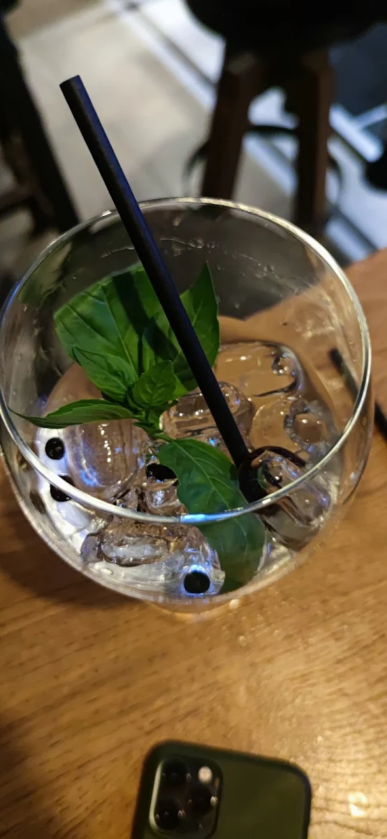 Gin Tonic