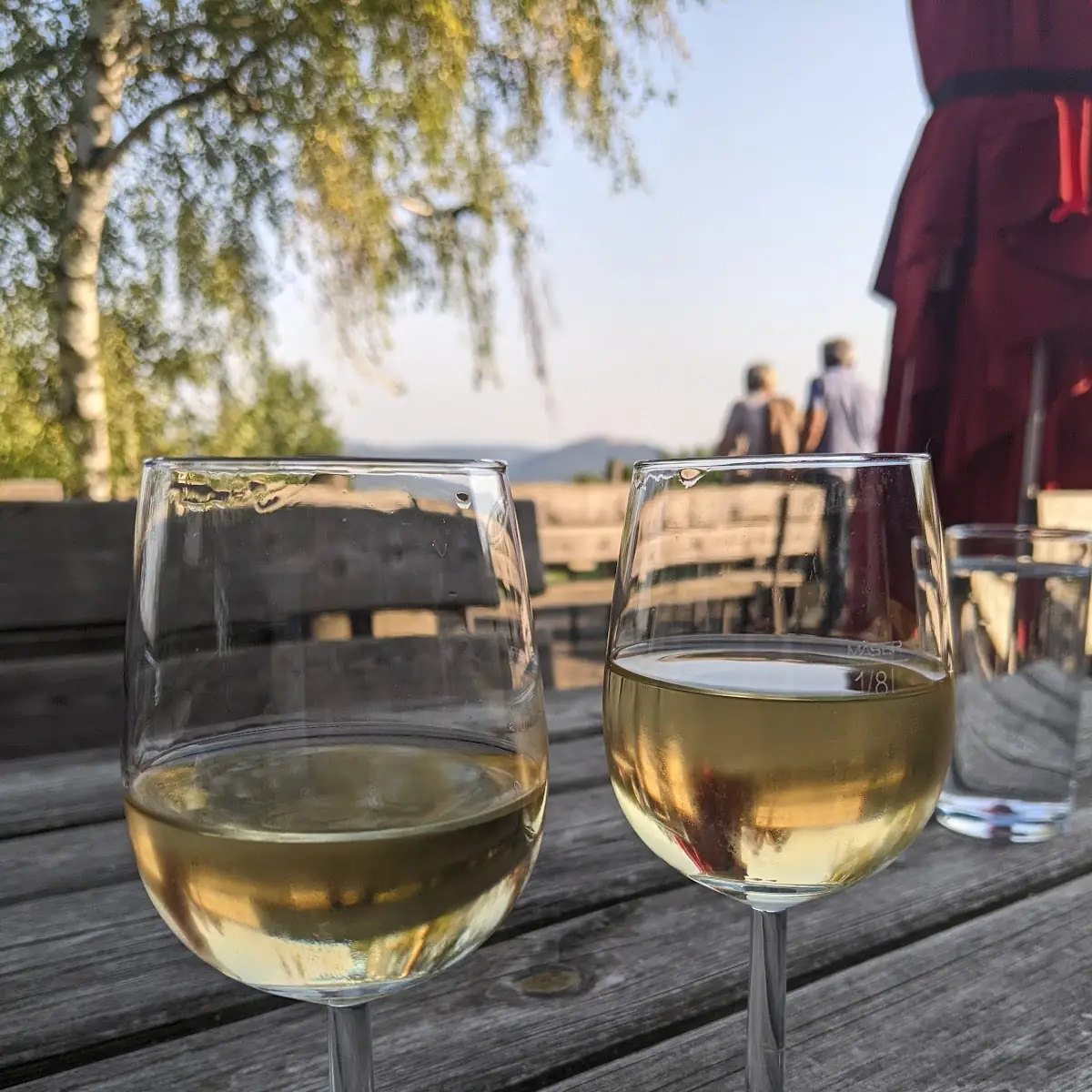 Local Wine