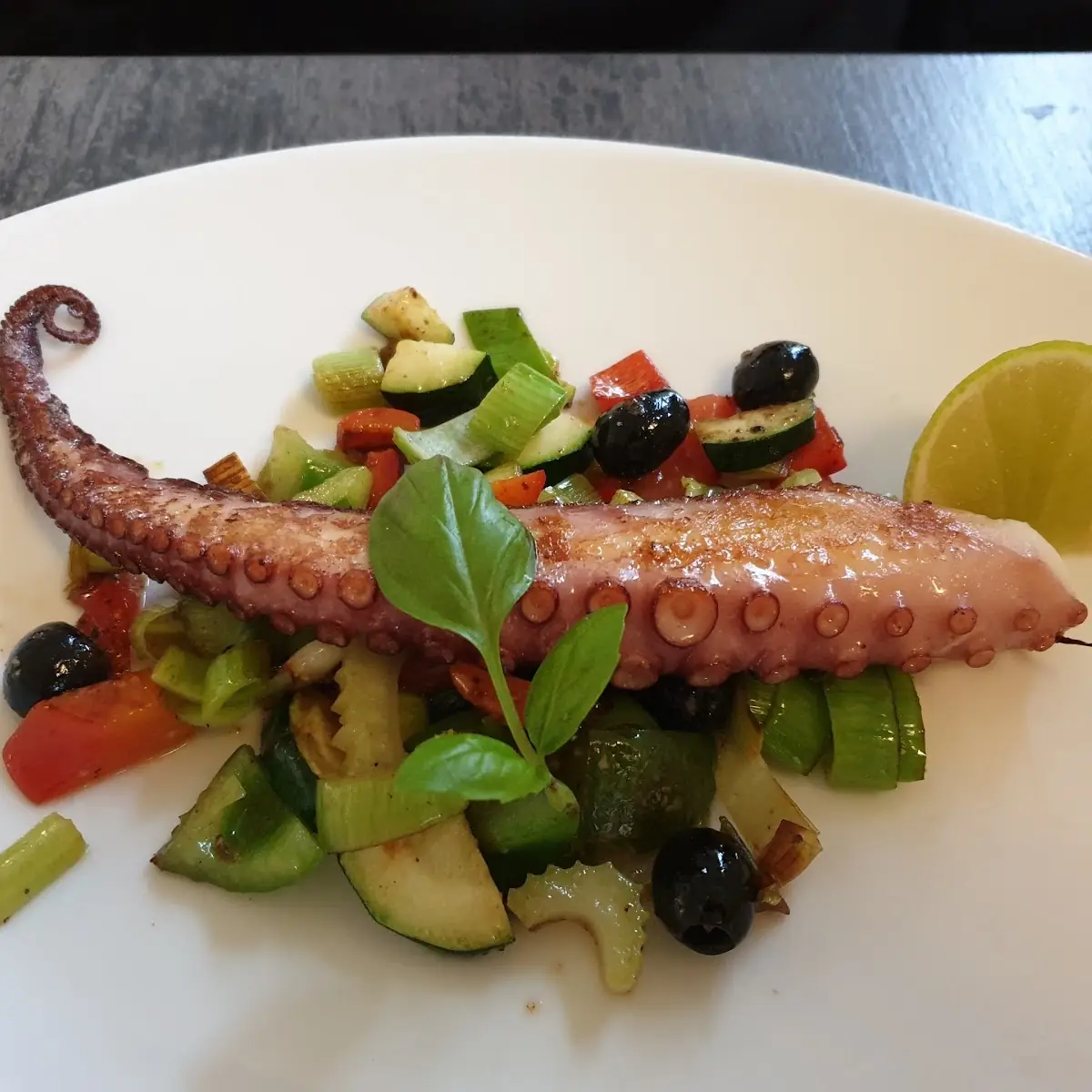 Oktopus