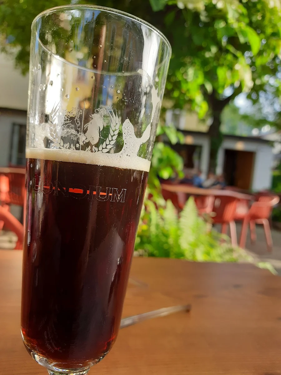 Schwarze Gams