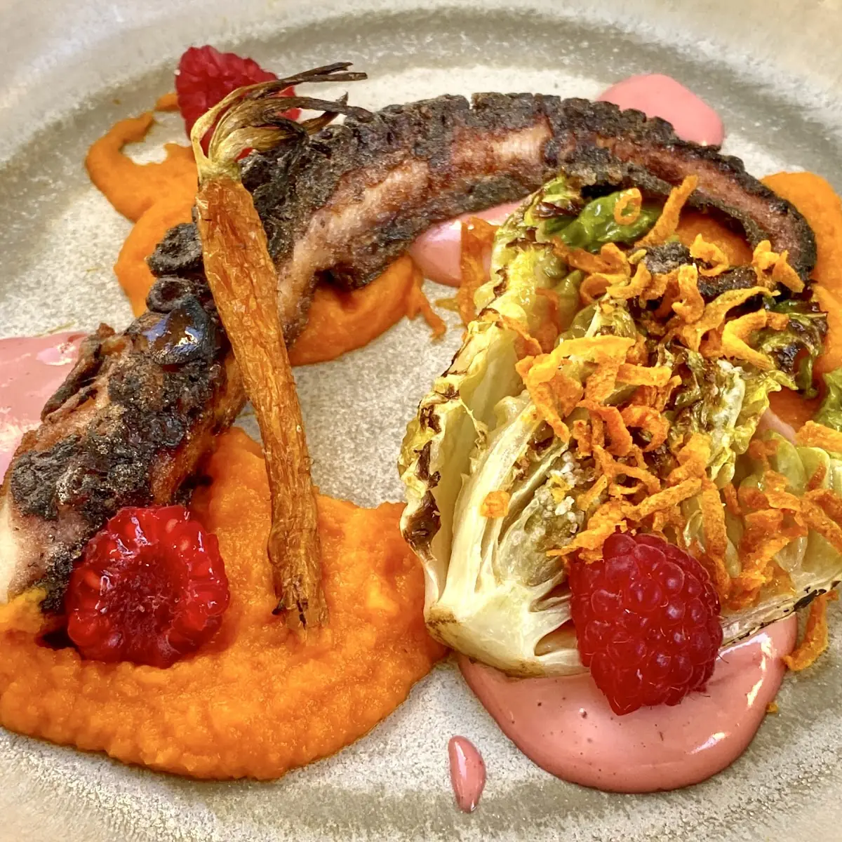 Gegrillter Octopus