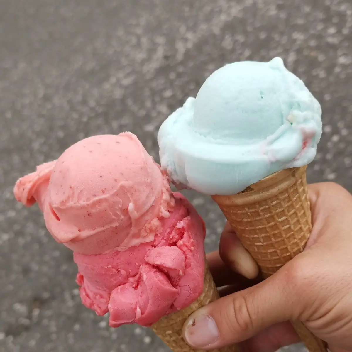 Highlight 6