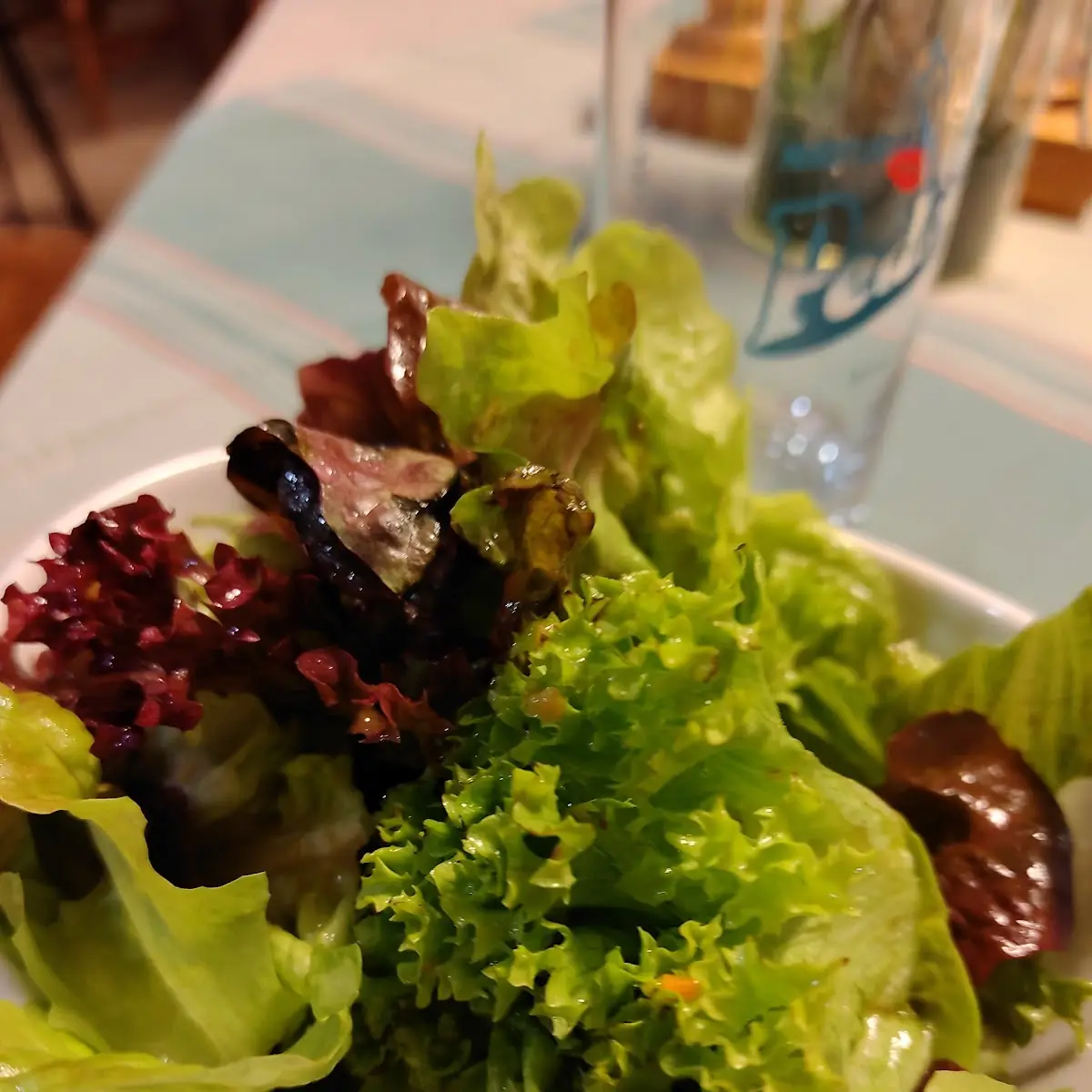 Grüner Salat