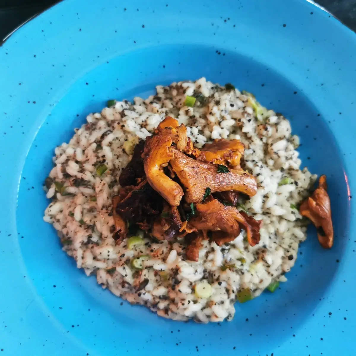 Pilzrisotto