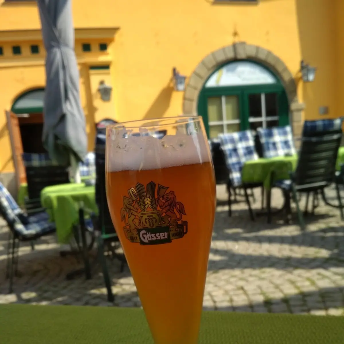 Pivo