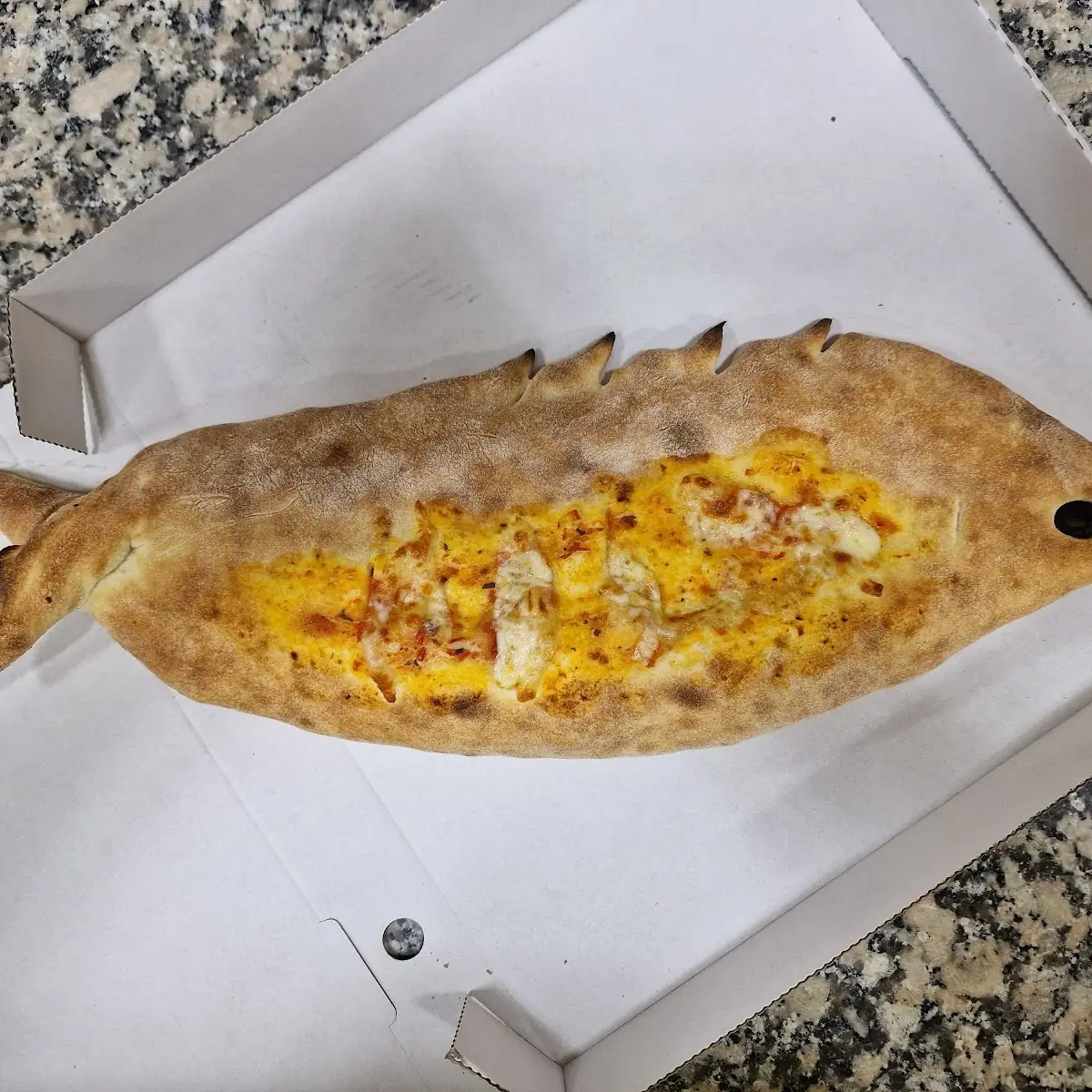 Pizza Calzone Capricciosa